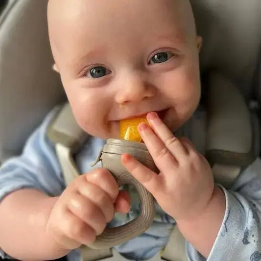 Grignoteuse bebe | Sécurisée Diversification - Mon Shopping Bébé