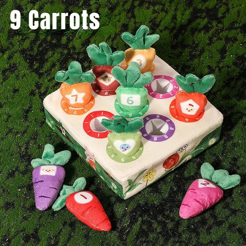 Jouet bebe - Jeu carotte Montessori - Jouet pour bébé - Mon Shopping Bébé